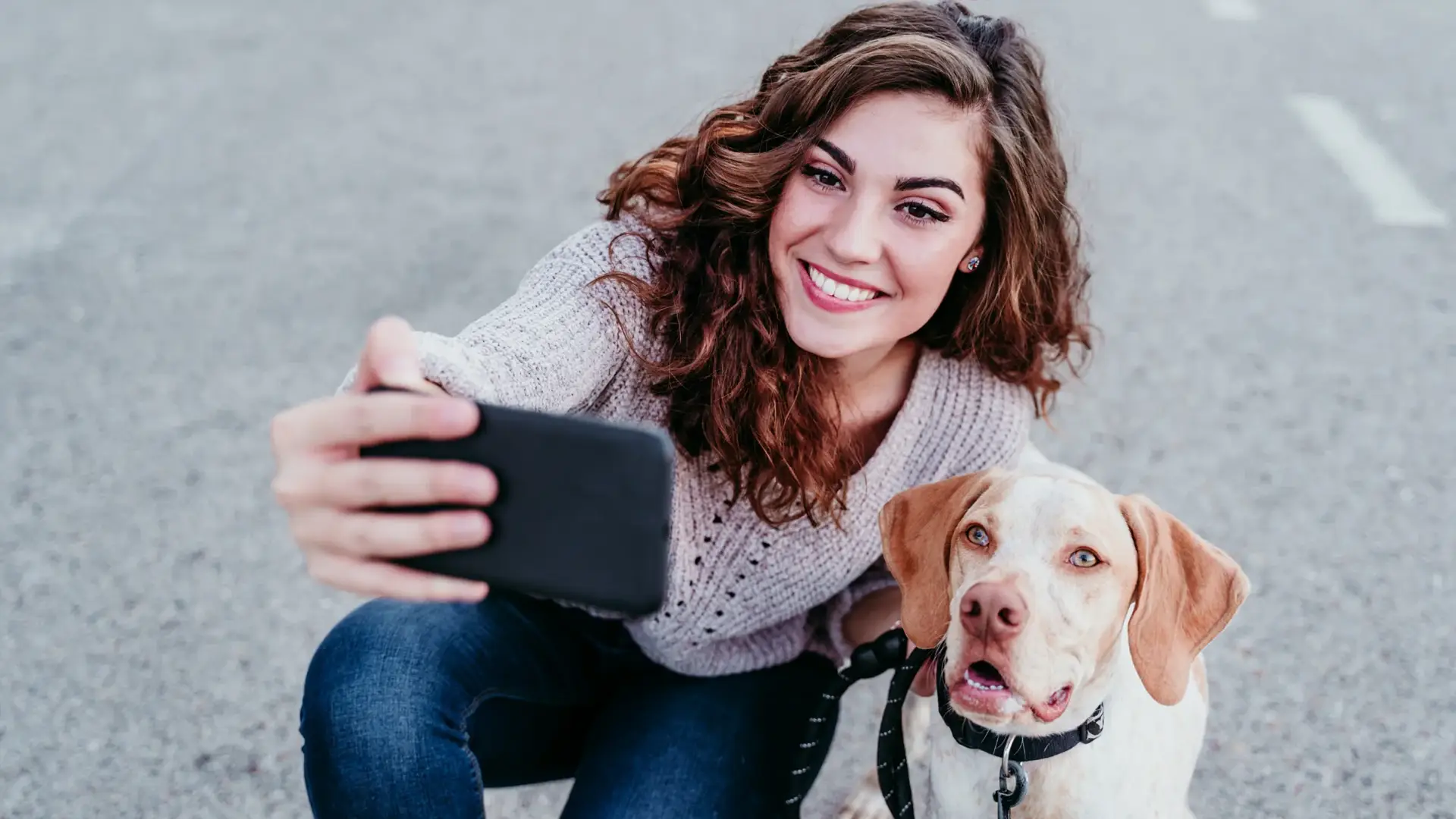 Top 10 Best iOS & Android Apps for Dog Owners, UK